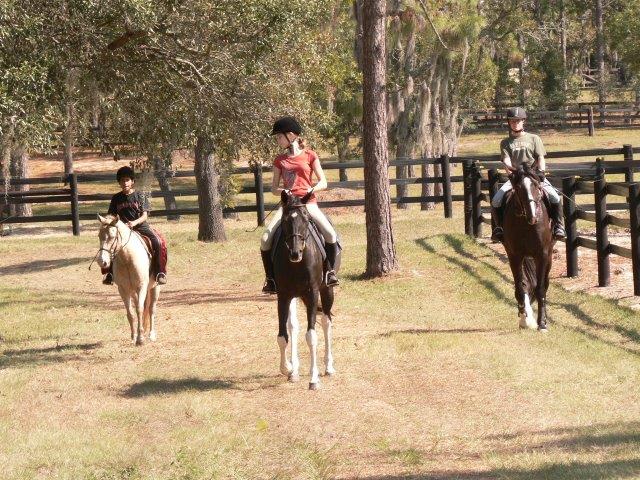 Horseback Riding in Citrus County